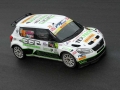 monza-rally-show-2014---luciano-ponzi-investigazioni-10